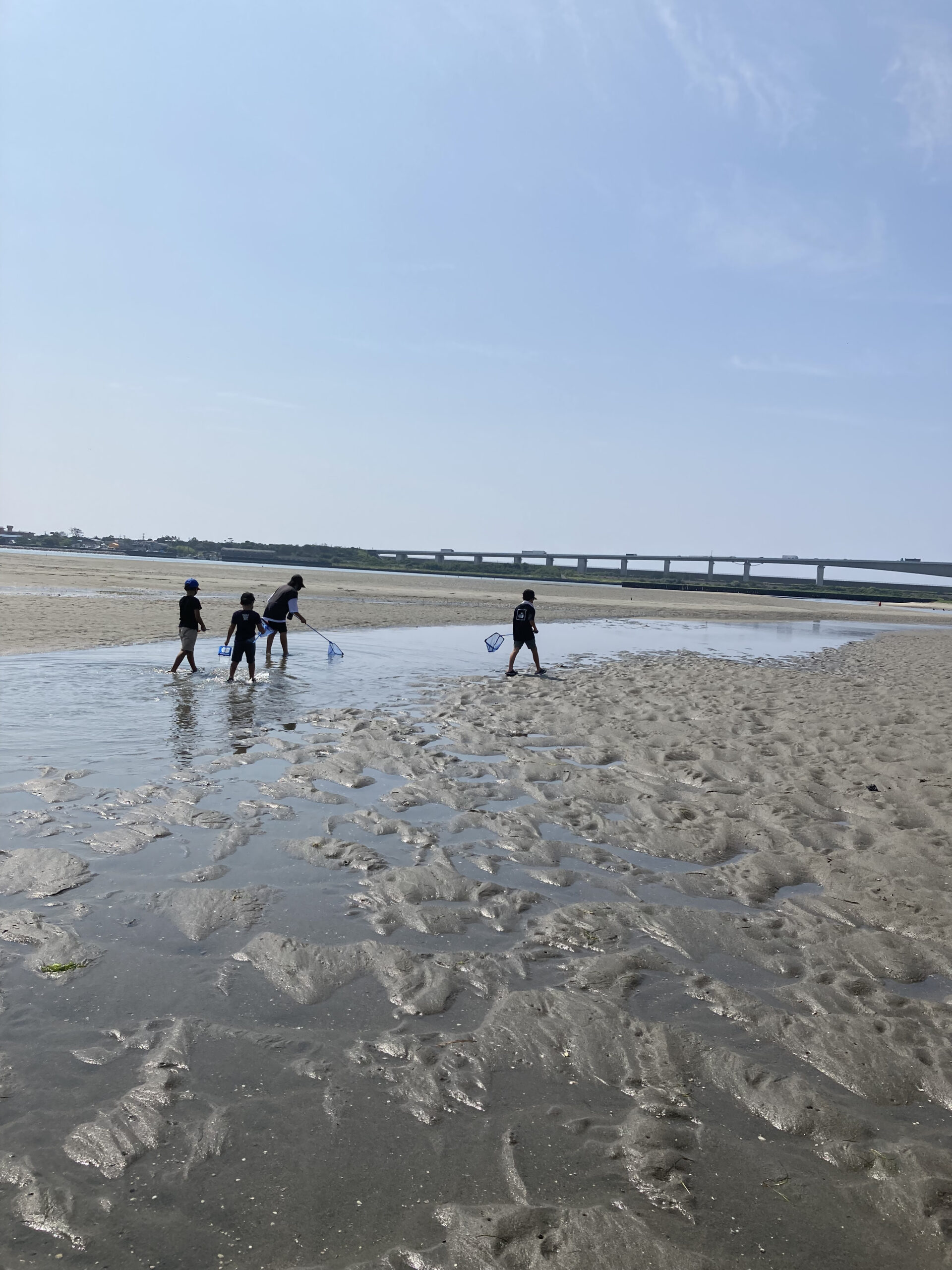 海の生き物を熱心に探す子供達