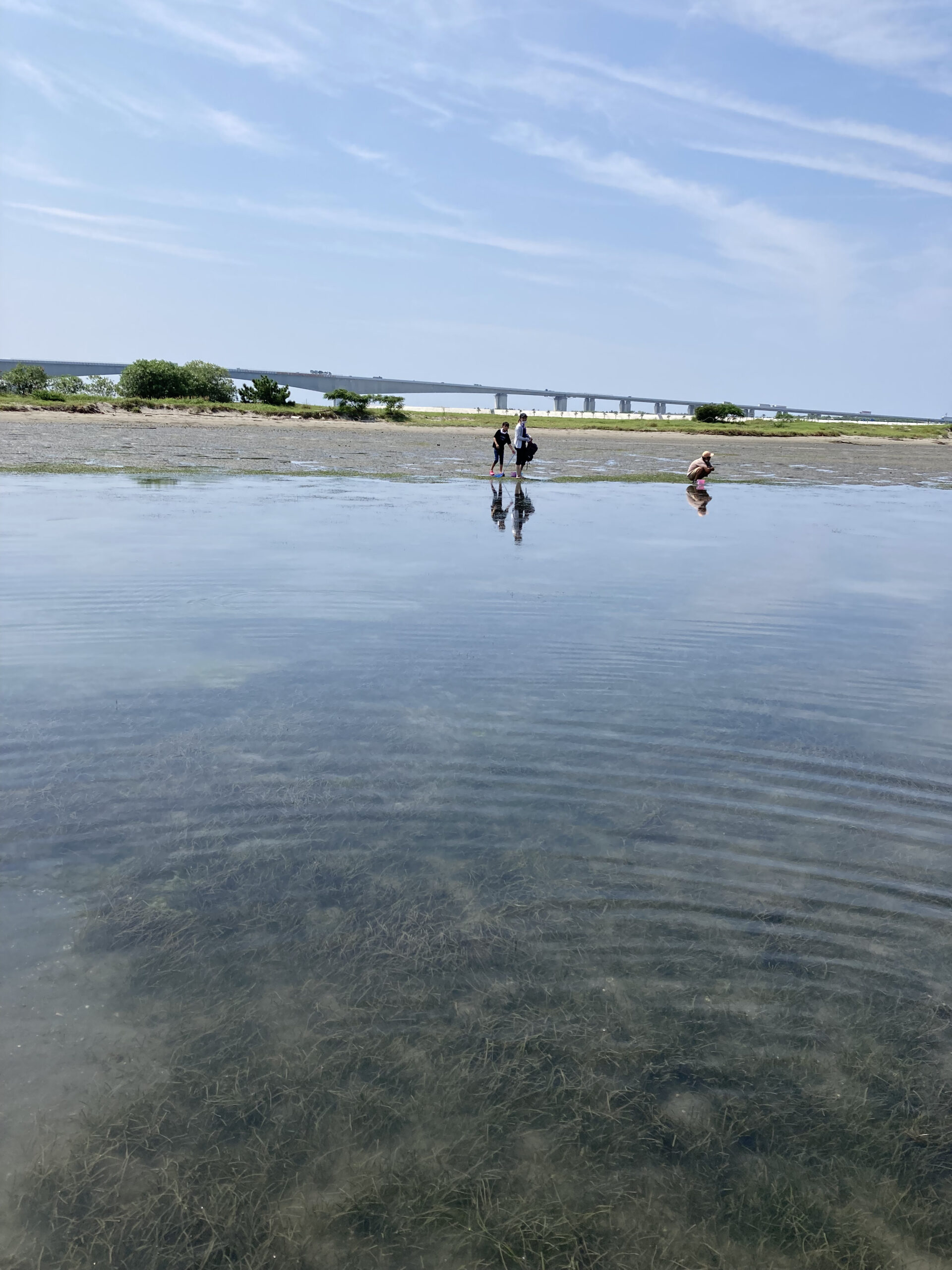 普段は来られない浜名湖の無人島で遊ぶ子供達