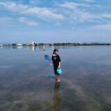 浜名湖で磯遊びをする少女